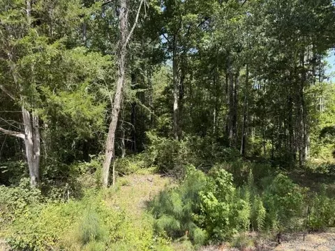 00 Hwy 190 E, Grapevine, AR 72057 photo 10