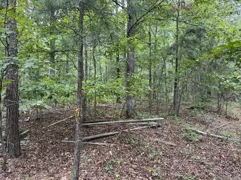 000 Na, Mountain View, AR 72560 photo 12