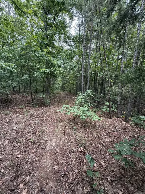 000 Na, Mountain View, AR 72560 photo 14