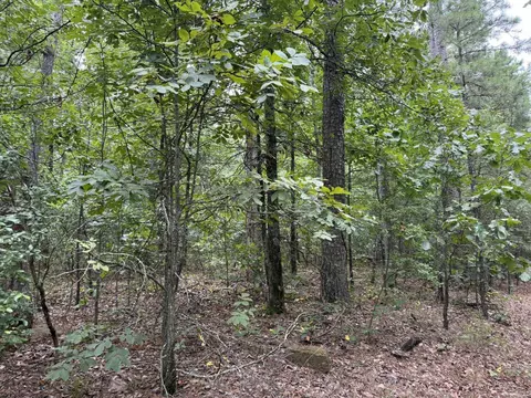 000 Na, Mountain View, AR 72560 photo 9