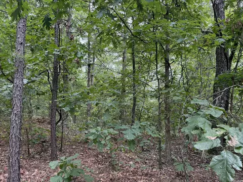000 Na, Mountain View, AR 72560 photo 10