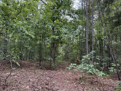 000 Na, Mountain View, AR 72560 photo 13