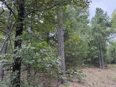000 Na, Mountain View, AR 72560 photo 8
