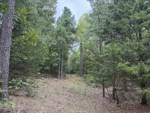 000 Na, Mountain View, AR 72560 photo 7