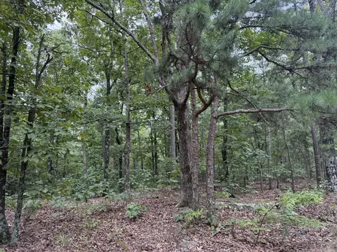 000 Na, Mountain View, AR 72560 photo 3