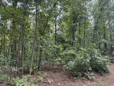 000 Na, Mountain View, AR 72560 photo 4