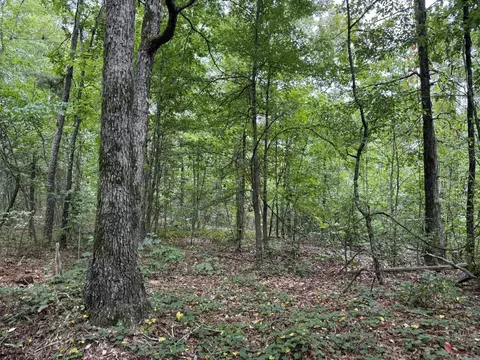 000 Na, Mountain View, AR 72560 photo 11
