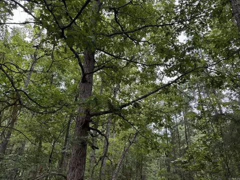 000 Na, Mountain View, AR 72560 photo 15
