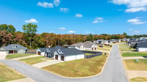 View/Area - 175 Jl Loop, Southside, AR 72501 photo 4 of 5