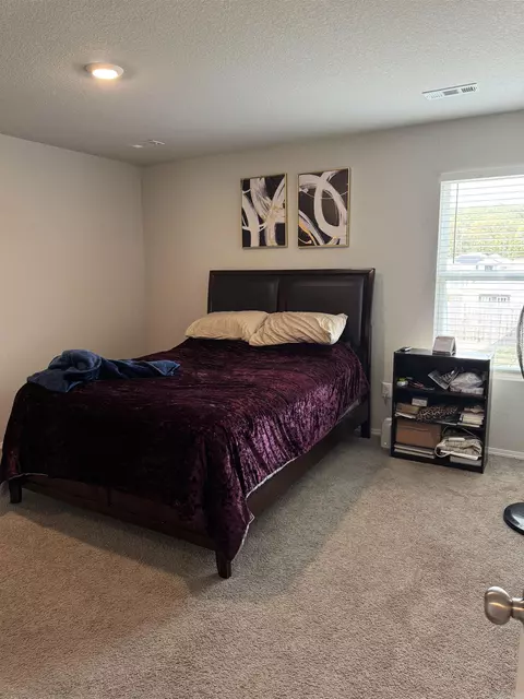 Bedroom - 27 Sun Drenched Trl, Conway, AR 72032 photo 1 of 3