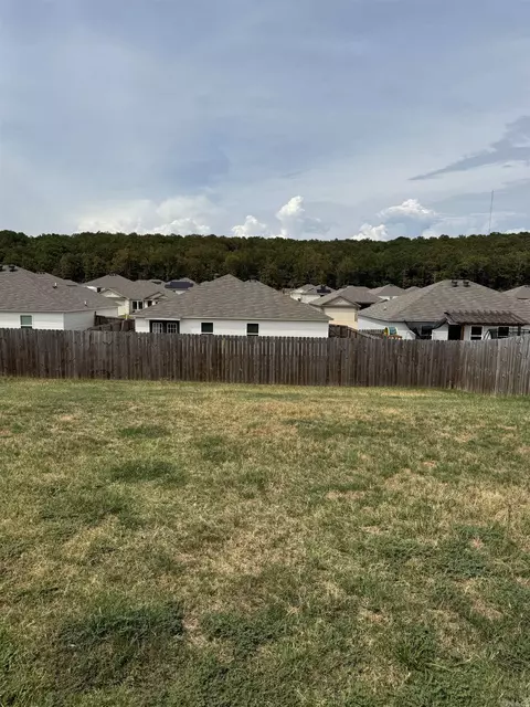Exterior - 27 Sun Drenched Trl, Conway, AR 72032 photo 4 of 4