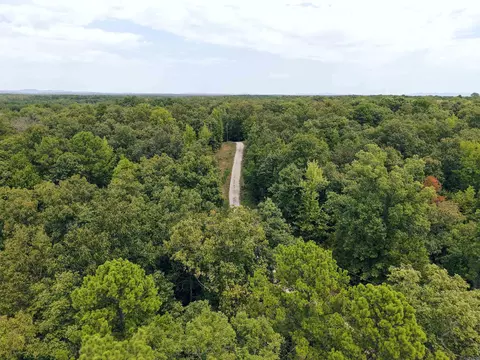 84 Archwood, Mount Ida, AR 71957 photo 5