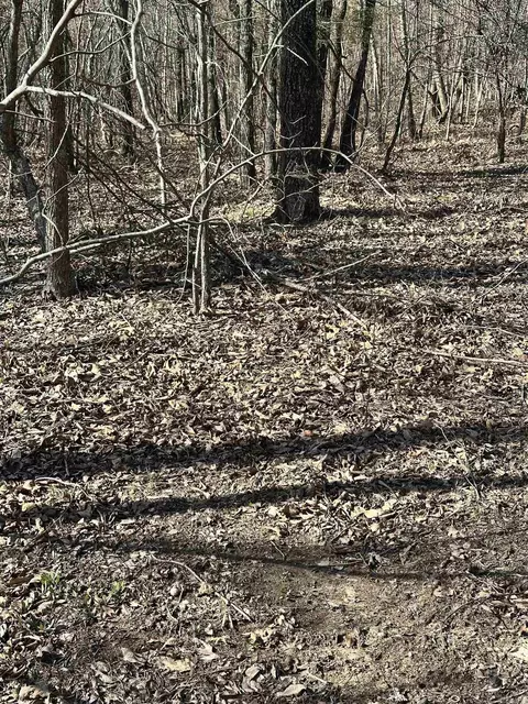 000 Dog Young, Mountain View, AR 72560 photo 15
