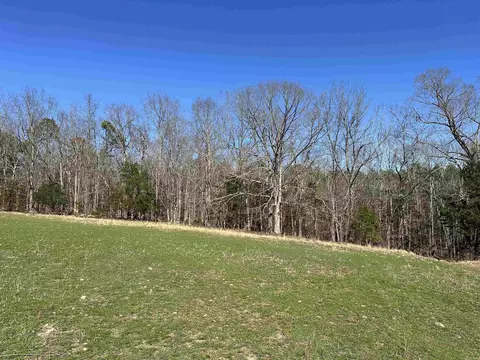 000 Dog Young, Mountain View, AR 72560 photo 6