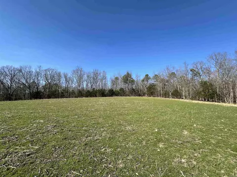 000 Dog Young, Mountain View, AR 72560 photo 5