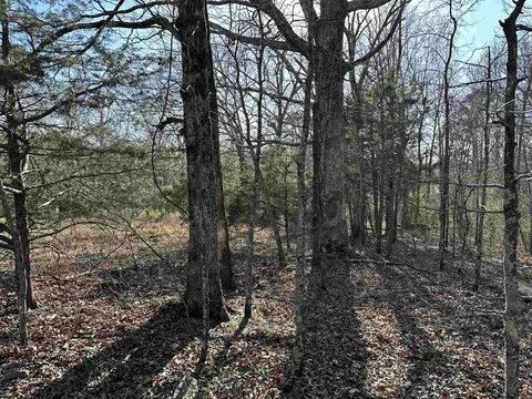 000 Dog Young, Mountain View, AR 72560 photo 30
