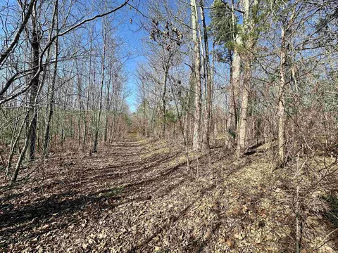 000 Dog Young, Mountain View, AR 72560 photo 16
