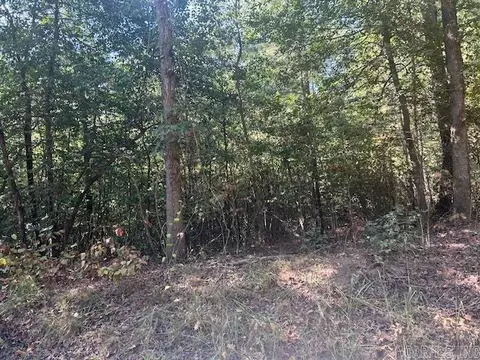 000 Shaw Bridge Rd, Benton, AR 72015 photo 5