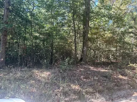 000 Shaw Bridge Rd, Benton, AR 72015 photo 4