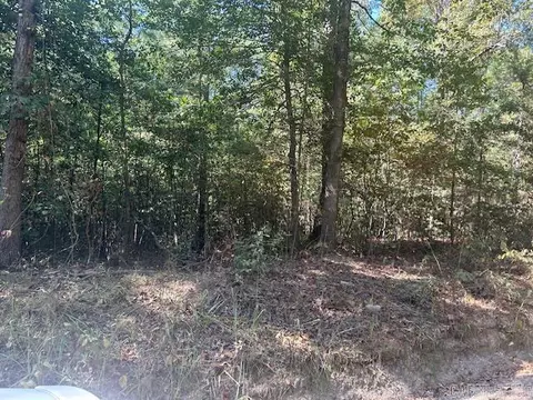 000 Shaw Bridge Rd, Benton, AR 72015 photo 4