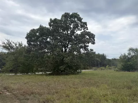 2426 Cataberry Run Rd, Ozark, AR 72949 photo 6
