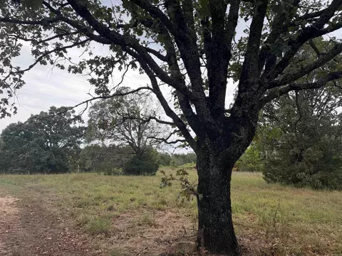 2426 Cataberry Run Rd, Ozark, AR 72949 photo 7