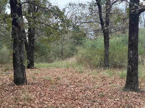 2426 Cataberry Run Rd, Ozark, AR 72949 photo 27