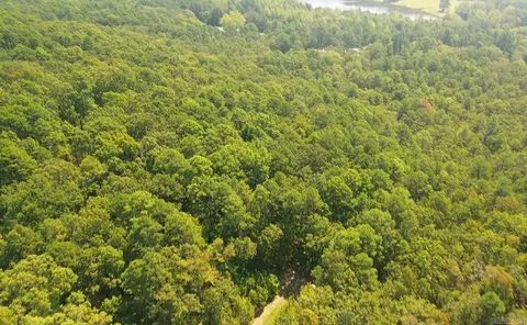 169 Brooke Ln, Bee Branch, AR 72013 photo 7
