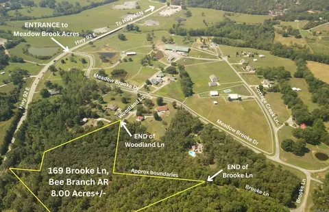 169 Brooke Ln, Bee Branch, AR 72013 photo 3