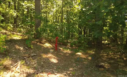 169 Brooke Ln, Bee Branch, AR 72013 photo 4