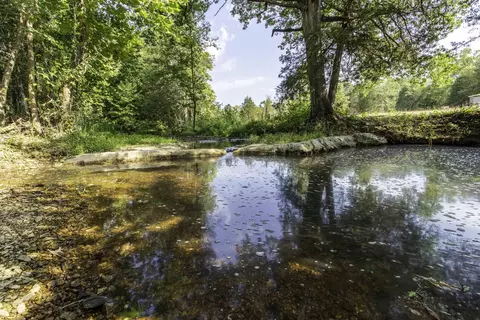 12 Hunter Ln, Poughkeepsie, AR 72569 photo 6