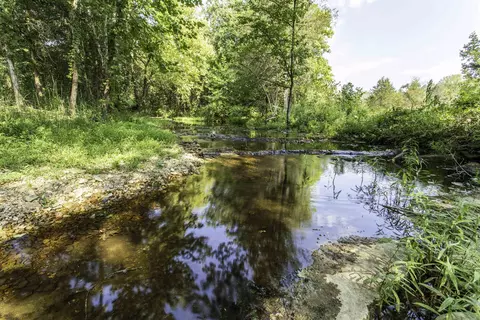 12 Hunter Ln, Poughkeepsie, AR 72569 photo 5