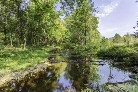 12 Hunter Ln, Poughkeepsie, AR 72569 photo 4