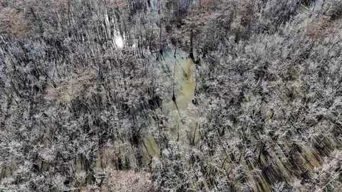 3225 Loop Rd, Marvell, AR 72366 photo 25