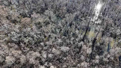 3225 Loop Rd, Marvell, AR 72366 photo 18