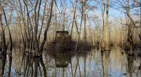 3225 Loop Rd, Marvell, AR 72366 photo 4
