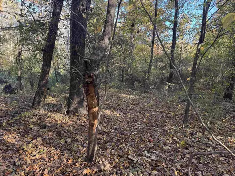 3225 Loop Rd, Marvell, AR 72366 photo 34