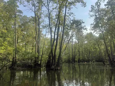 3225 Loop Rd, Marvell, AR 72366 photo 33