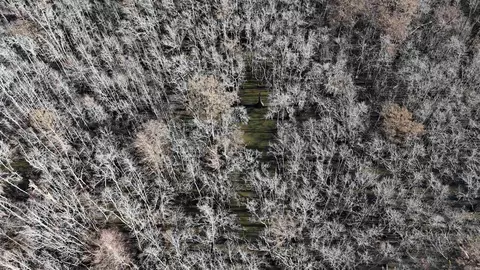 3225 Loop Rd, Marvell, AR 72366 photo 8
