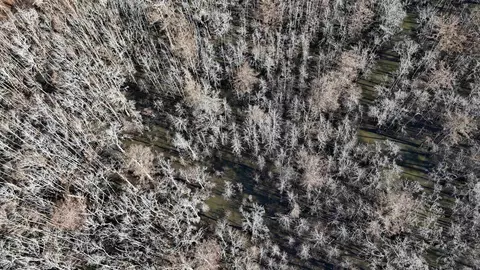 3225 Loop Rd, Marvell, AR 72366 photo 6