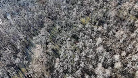 3225 Loop Rd, Marvell, AR 72366 photo 16
