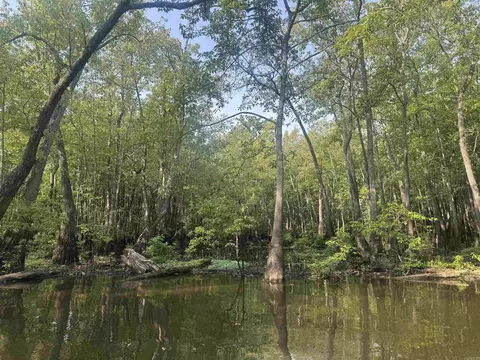 3225 Loop Rd, Marvell, AR 72366 photo 31