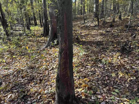 3225 Loop Rd, Marvell, AR 72366 photo 37