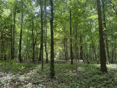 000 Phillips Rd 222 Lexa, Lexa, AR 72355 photo 46