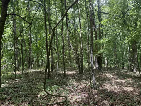 000 Phillips Rd 222 Lexa, Lexa, AR 72355 photo 45