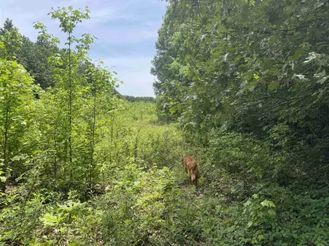 000 Phillips Rd 222 Lexa, Lexa, AR 72355 photo 47