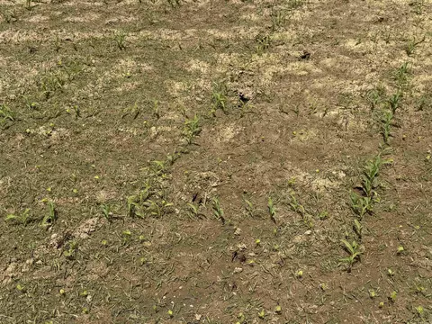000 Phillips Rd 222 Lexa, Lexa, AR 72355 photo 39