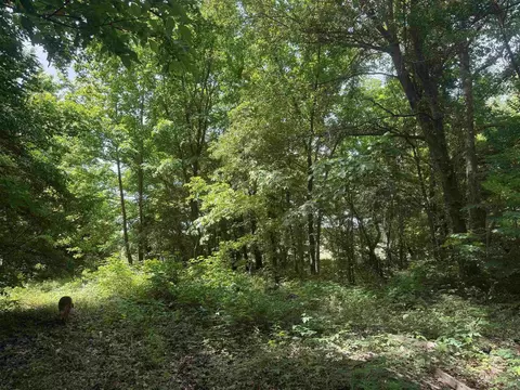 000 Phillips Rd 222 Lexa, Lexa, AR 72355 photo 48