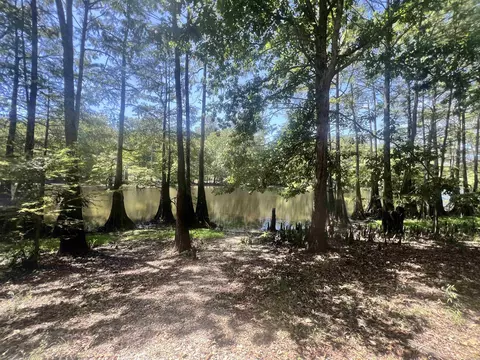 View/Area - 4878 Calhoun 245 Rd, Hampton, AR 71744 photo 2 of 2