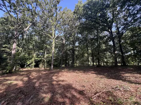 000 N Highway 9 Hwy, Mammoth Spring, AR 72554 photo 14